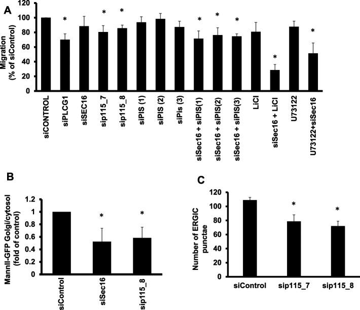 FIGURE 9: