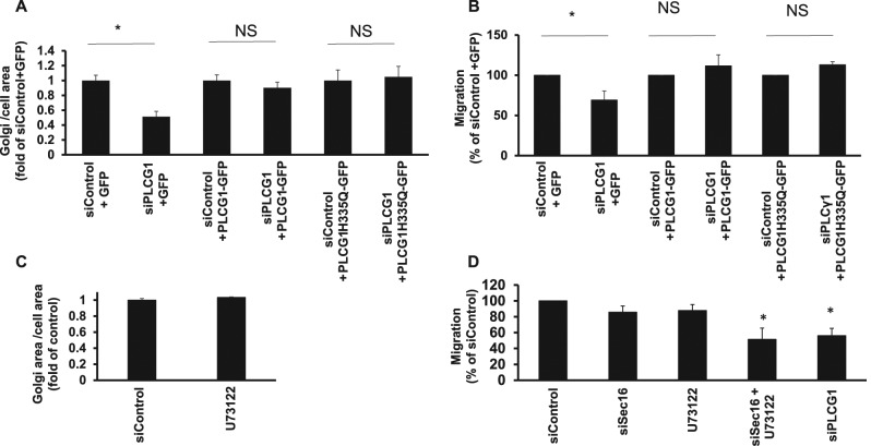 FIGURE 4: