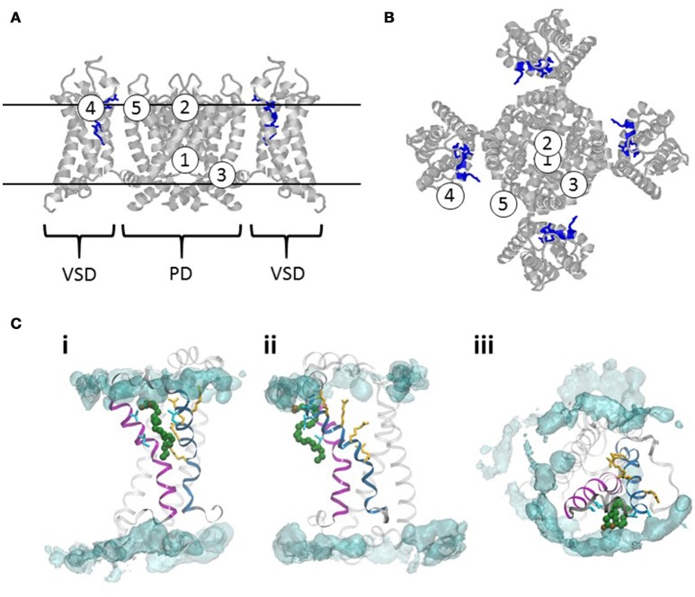 Figure 5