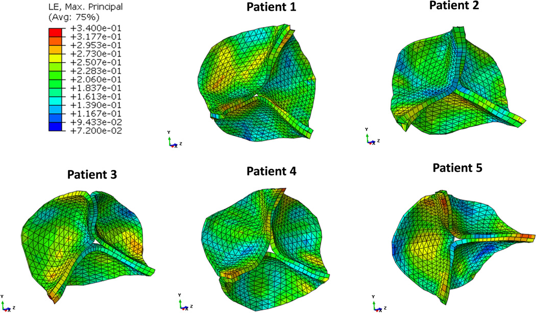 Figure 6