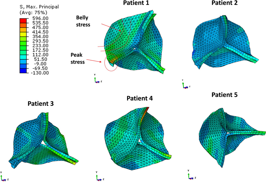 Figure 7