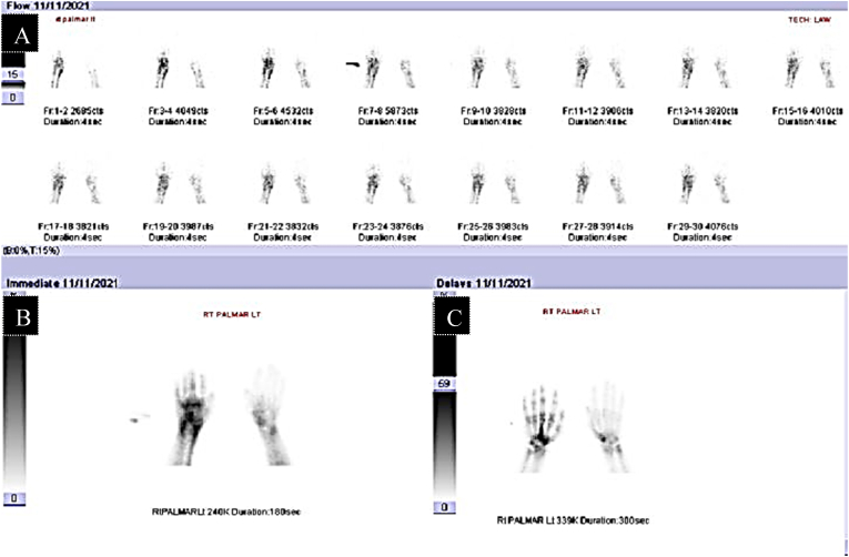 Fig. 2