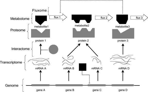 FIG. 1.