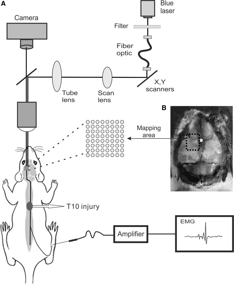 FIG. 1.