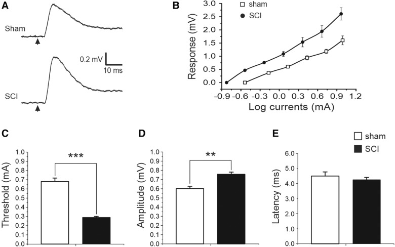 FIG. 10.