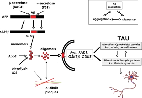 Figure 2.