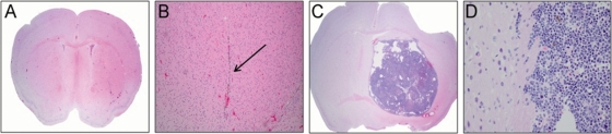 Fig. 5.