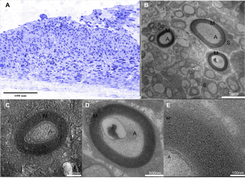 Figure 5.