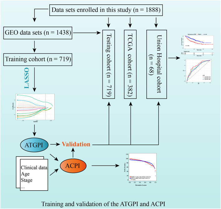 FIGURE 1