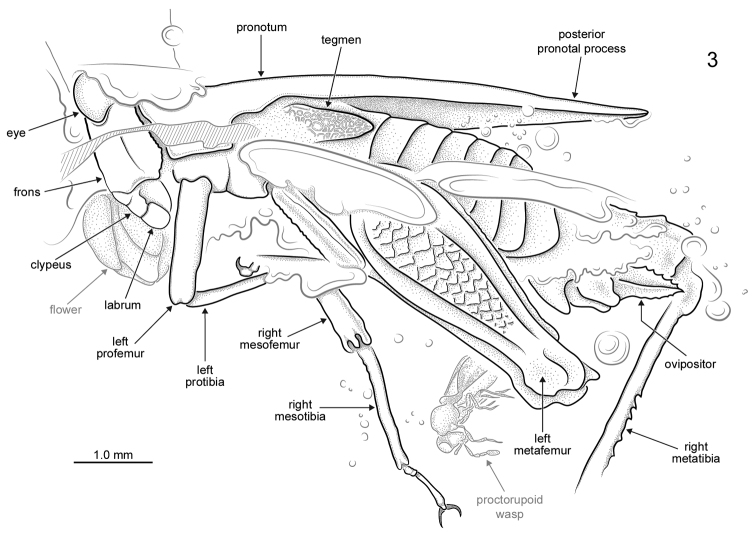 Figure 3.