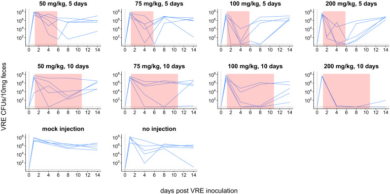 Figure 2—figure supplement 1.