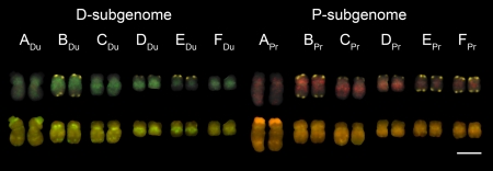 Fig. 3.