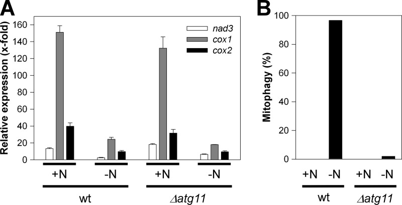 Fig 6