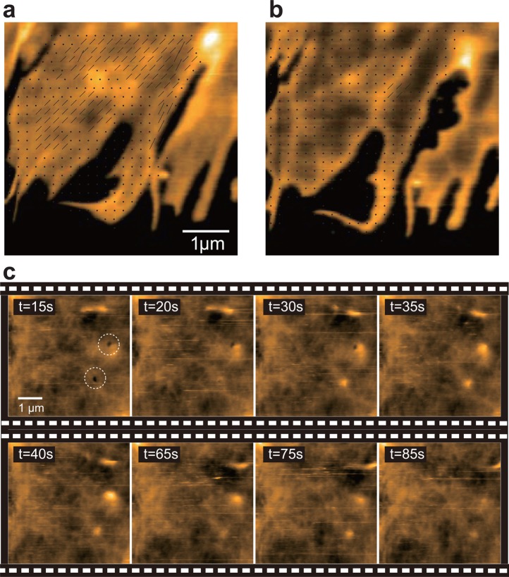 Figure 50