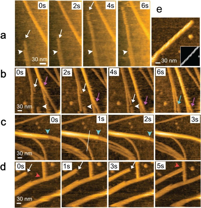 Figure 33