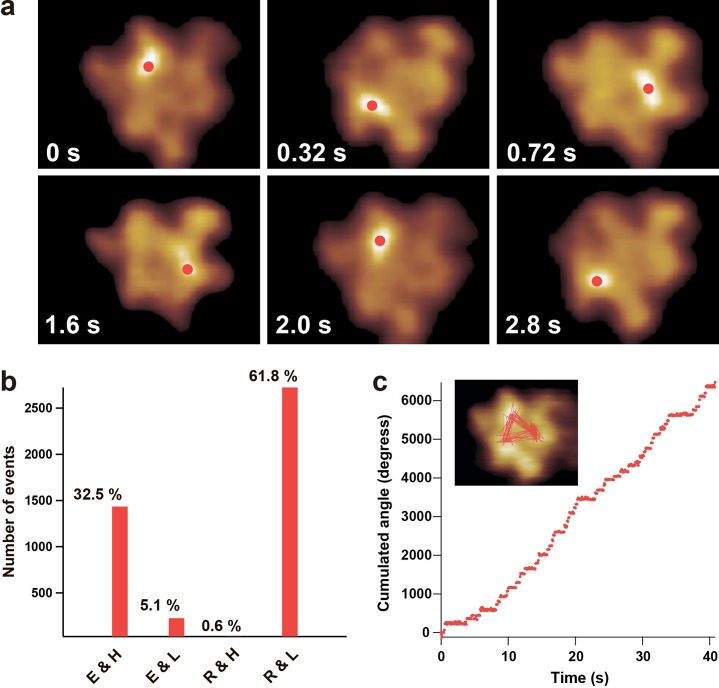 Figure 14