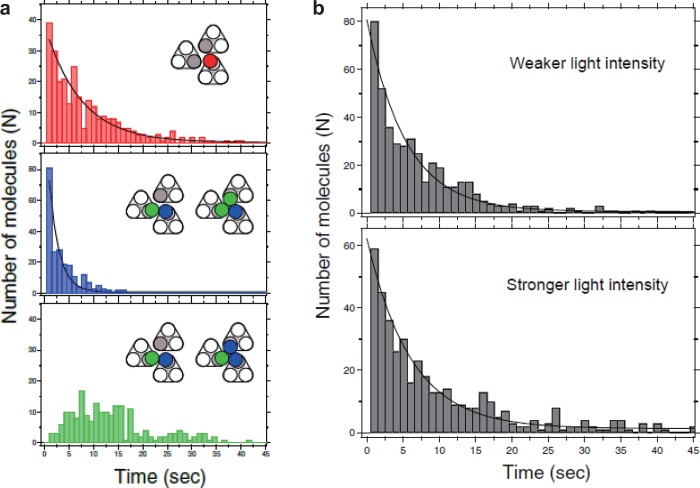 Figure 19