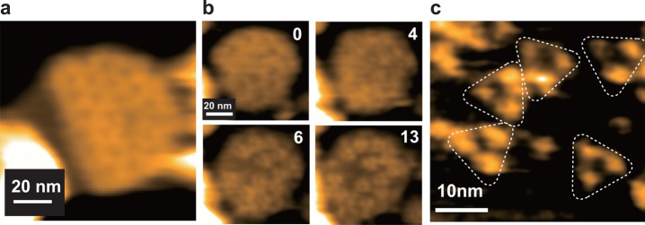 Figure 48