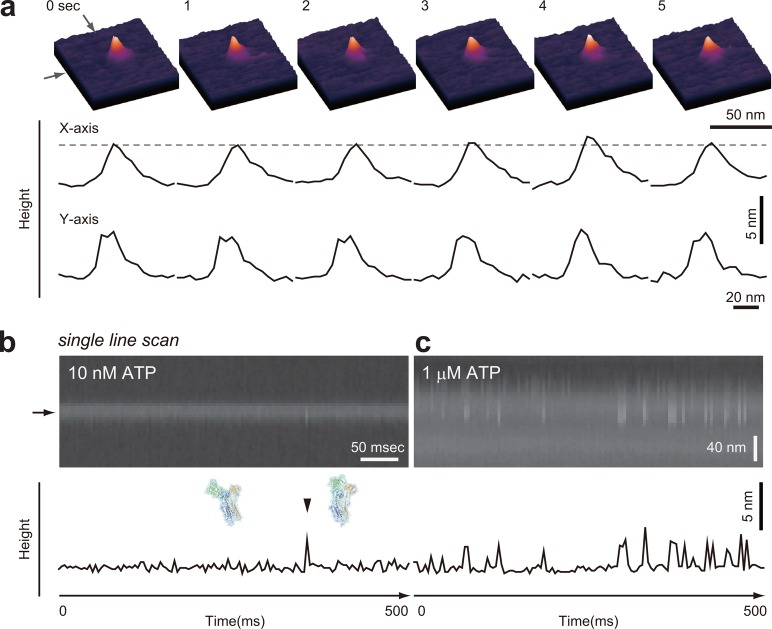 Figure 25