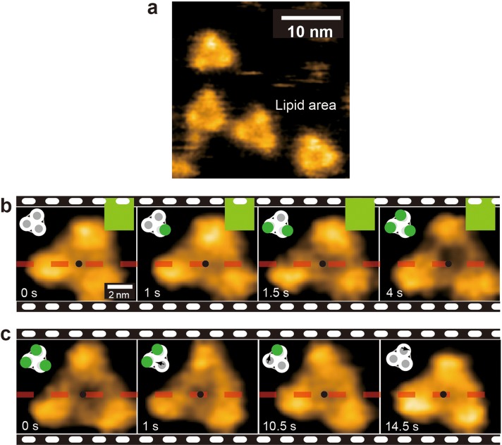 Figure 22