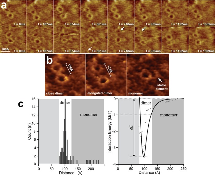 Figure 30