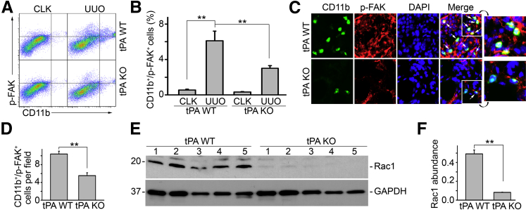 Figure 6