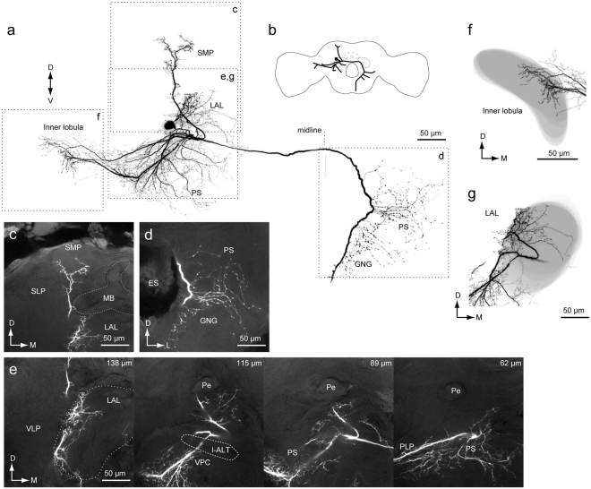 Figure 12