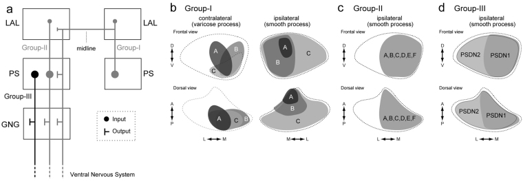 Figure 15