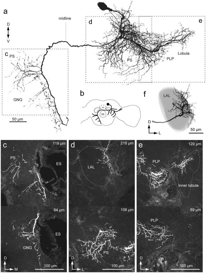 Figure 13