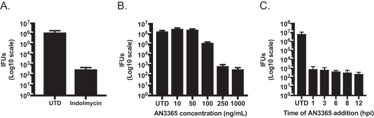 FIG 2