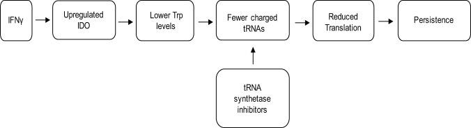 FIG 1