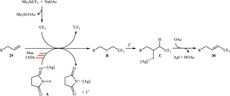 Scheme 18