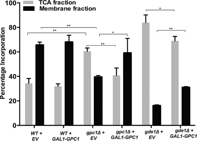 FIGURE 14.