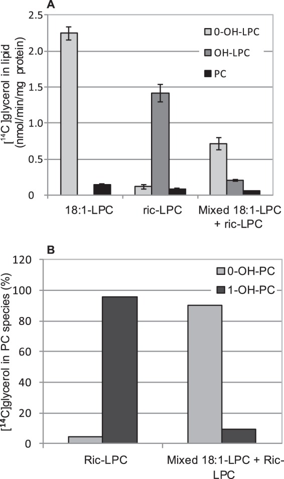 FIGURE 12.