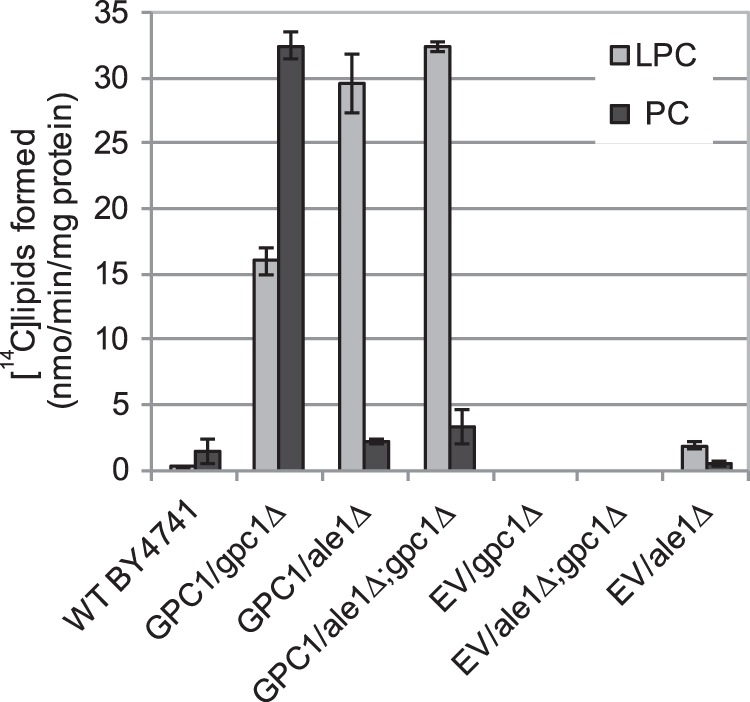 FIGURE 4.