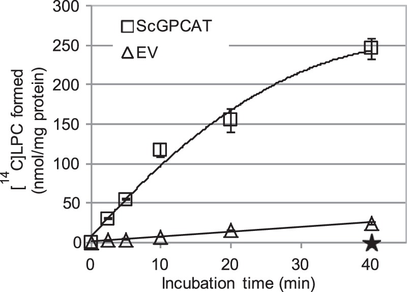 FIGURE 11.