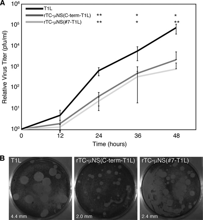 FIG 3