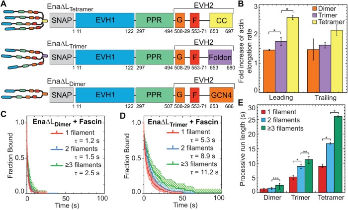 FIGURE 3: