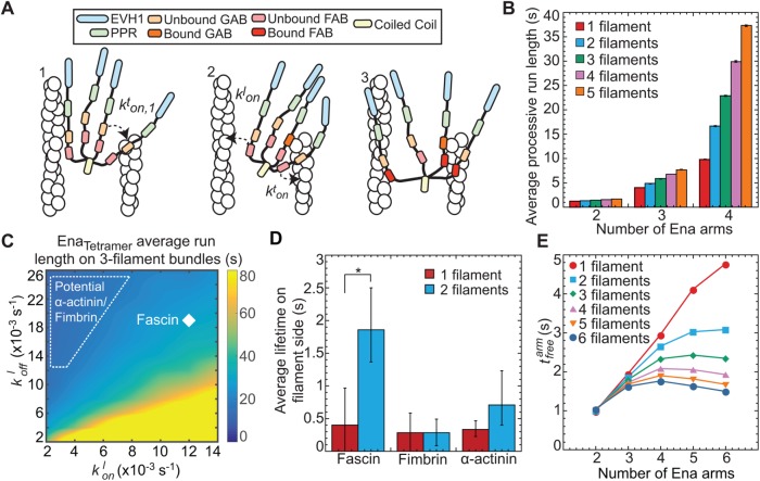 FIGURE 5: