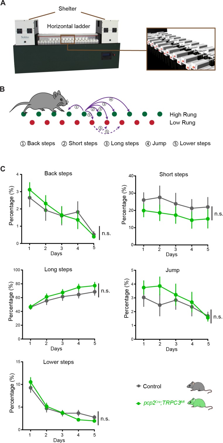 Figure 6—figure supplement 1.