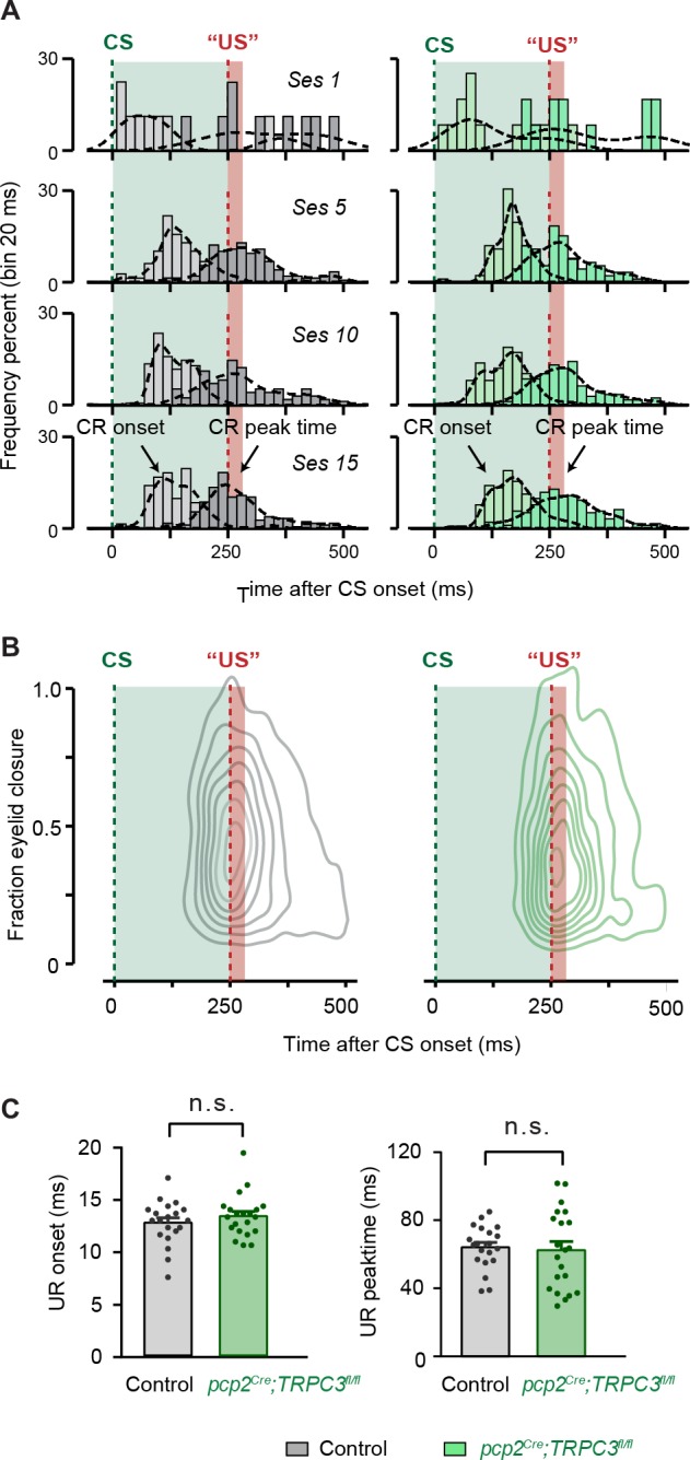 Figure 7—figure supplement 1.