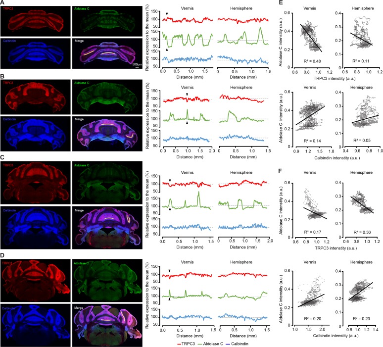 Figure 1—figure supplement 2.