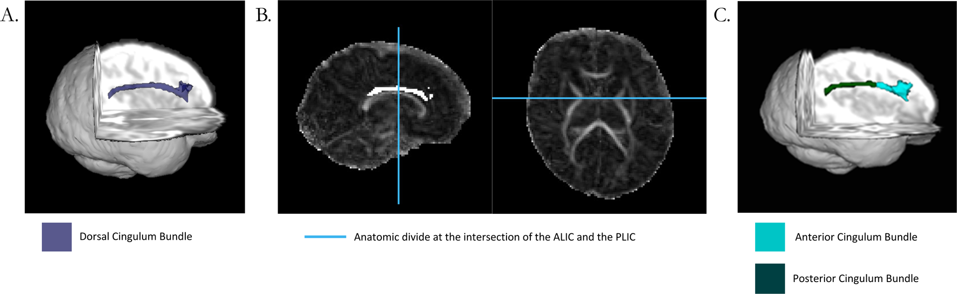 Figure 1: