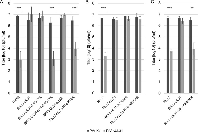 FIG 6