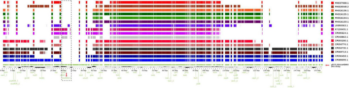 FIGURE 3