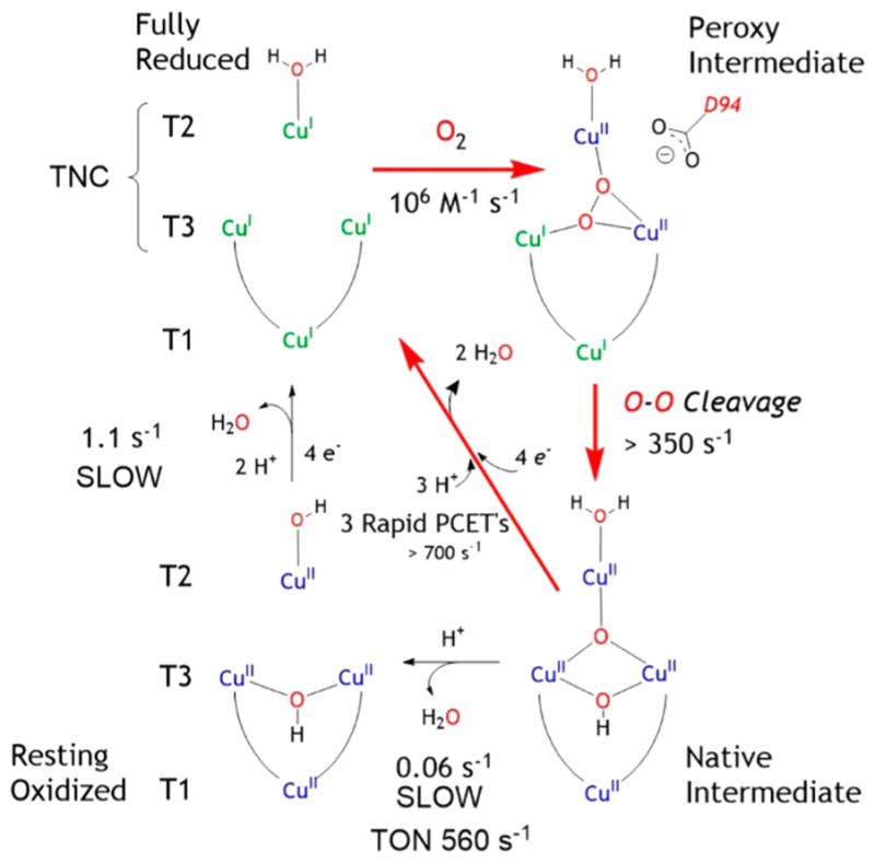 Figure 17