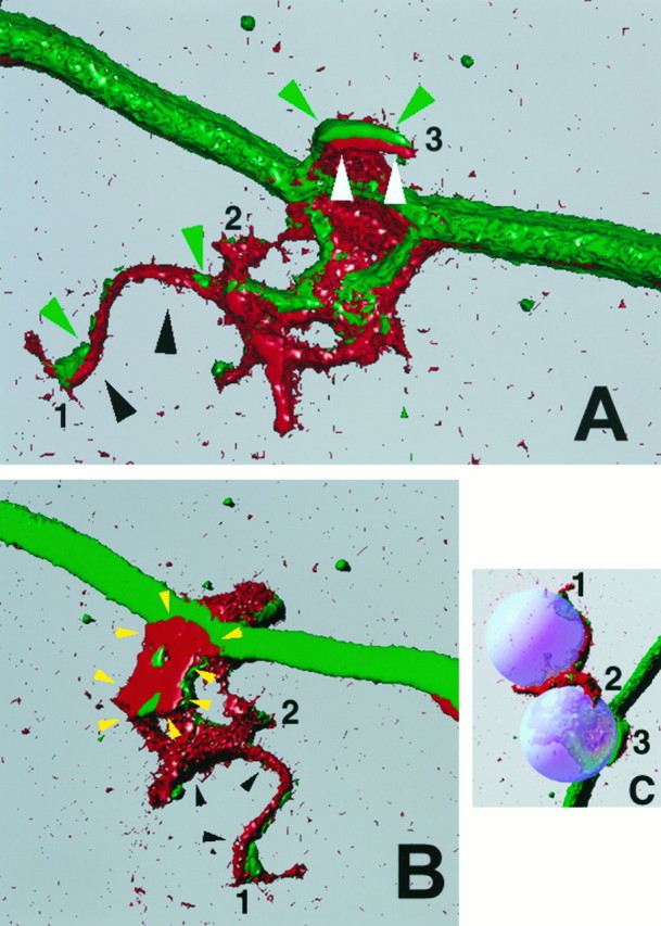 Fig. 4.