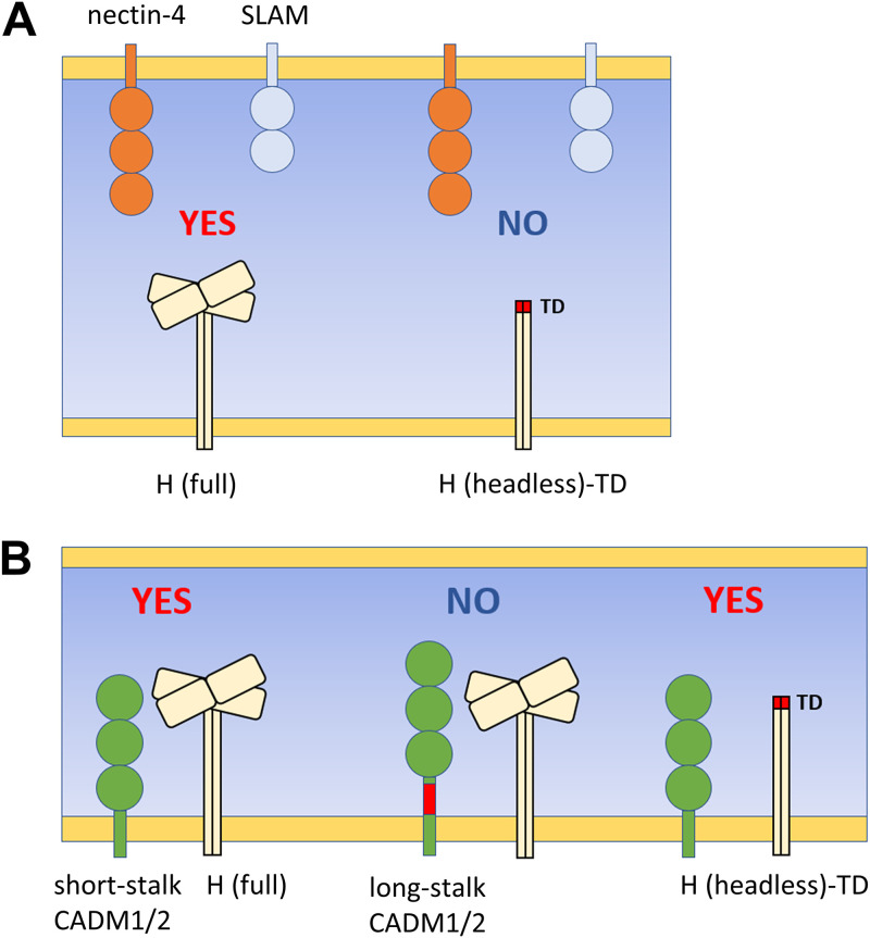 FIG 10