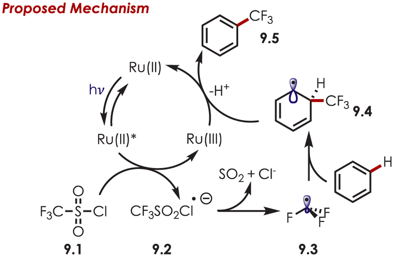 Scheme 9.