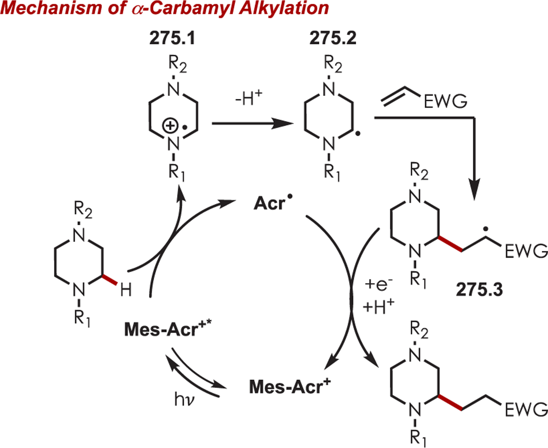 Scheme 275.